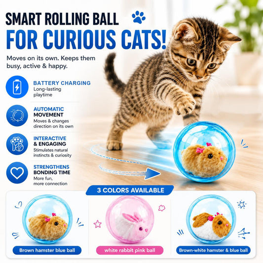 🔥2026 HOT SALE 50% OFF⏳|🐱🐾Auto-Rolling Ball with Mouse Hands-Free Play for Indoor Cats